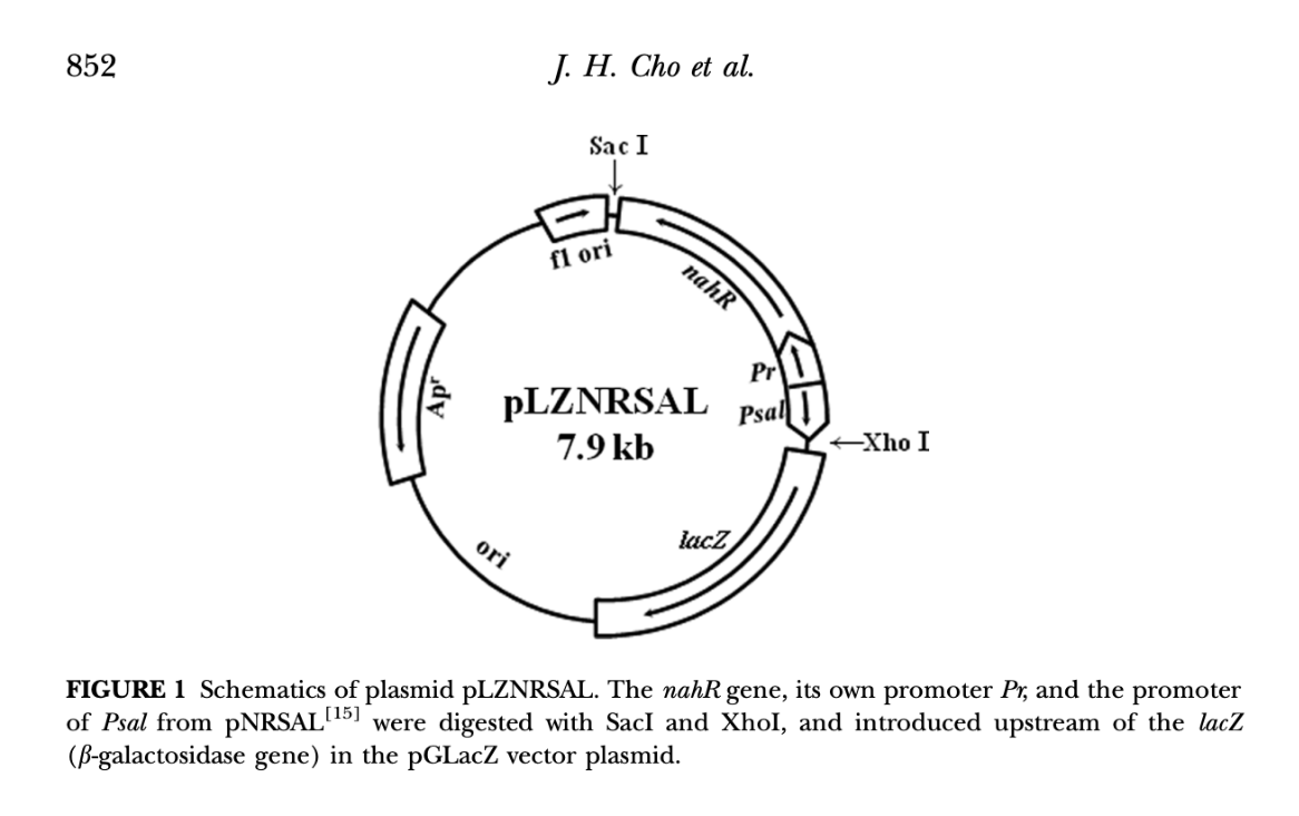 goalplasmid.png