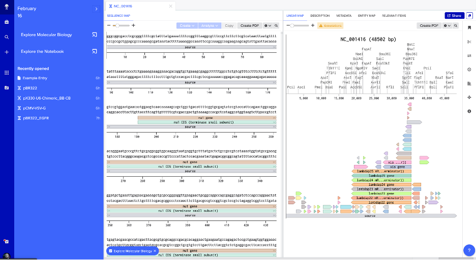 Benchling NC_001416 — sequence map and linear map with restriction enzyme cut sites and genetic features