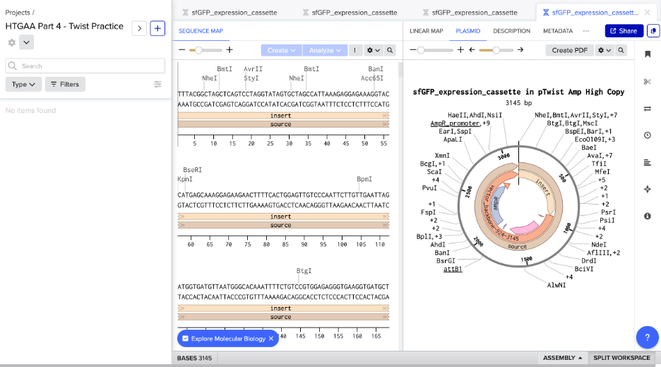 Circular plasmid map — sfGFP_expression_cassette in pTwist Amp High Copy with annotated regions and restriction enzyme sites