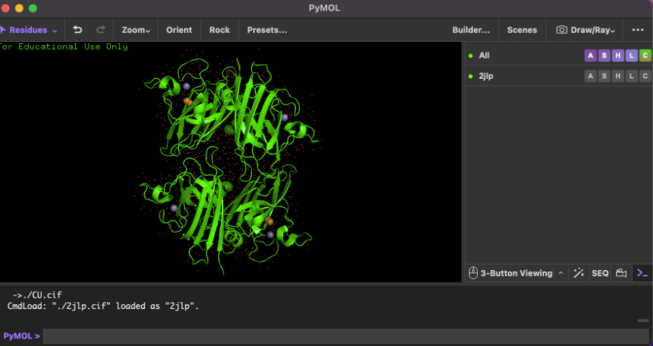 Cartoon view — ECSOD (2JLP) tetramer with Cu/Zn cofactors