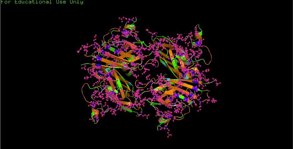 Residue-type coloring — hydrophobic (orange), polar (green), charged (blue)