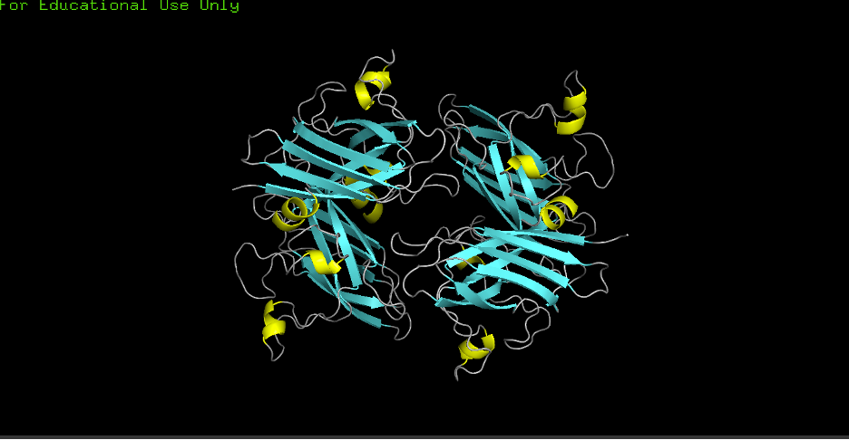 Secondary structure coloring — yellow = helices, cyan = sheets