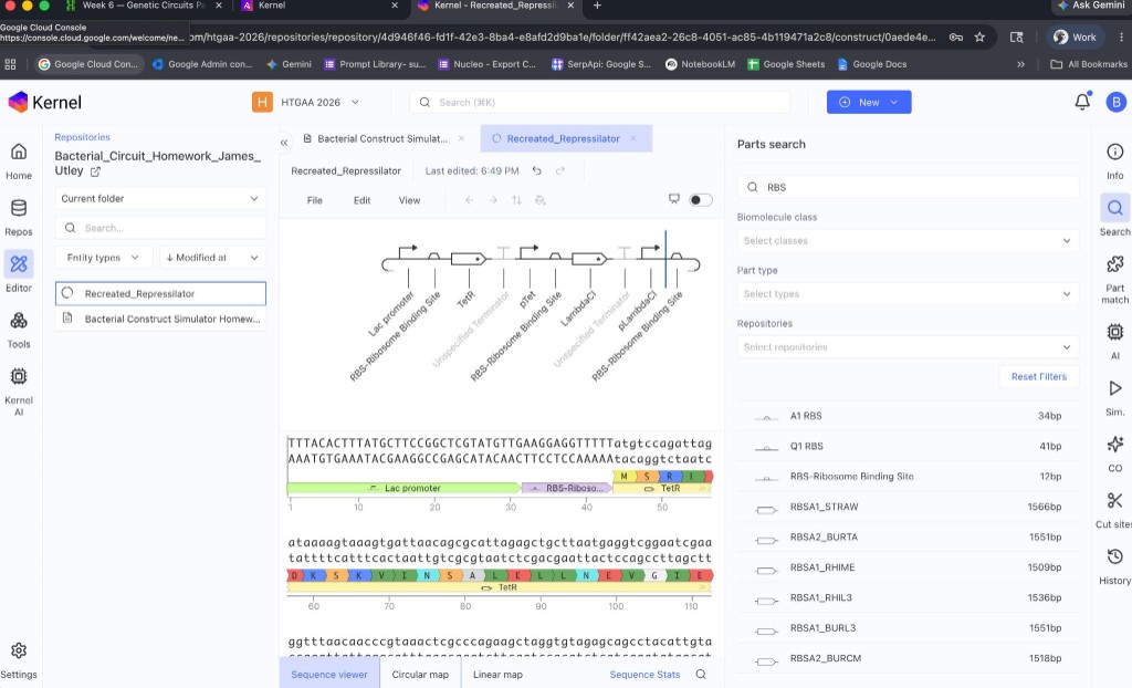 Asimov Kernel editor — Recreated_Repressilator genetic circuit in Bacterial_Circuit_Homework_James_Utley