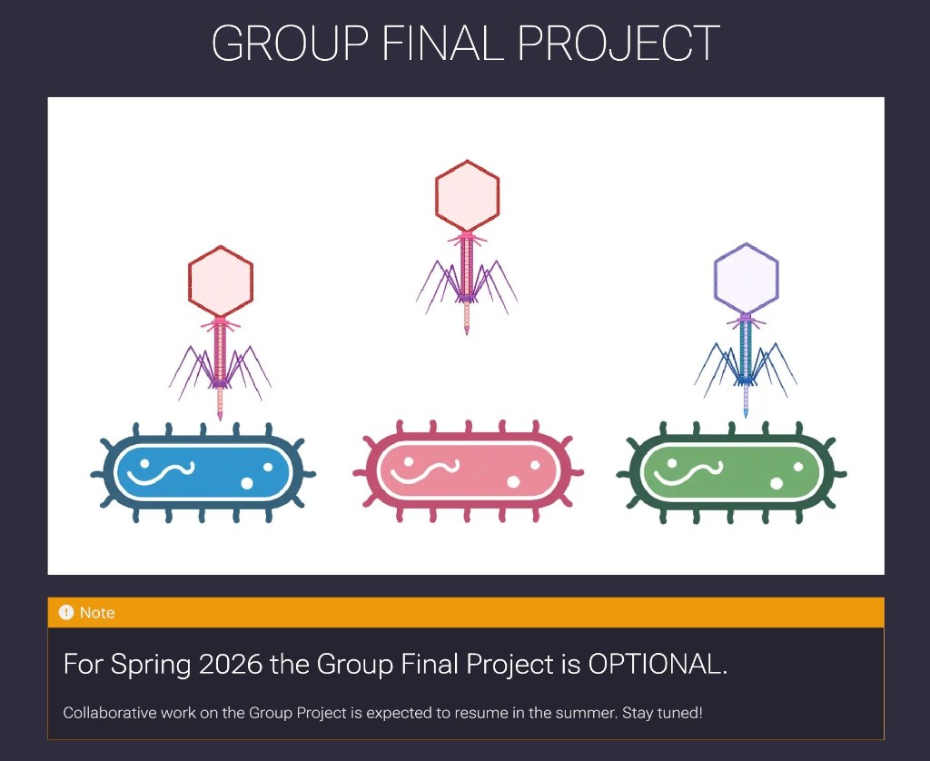 Group Final Project — optional for Spring 2026