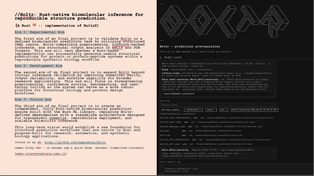 Boltr — project aims, model cache, bootstrap status, and LibTorch runtime check