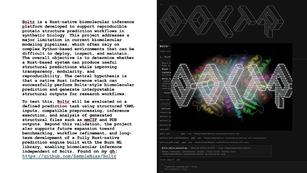 Boltr — Rust inference stack, protein ribbon visualization, and terminal bootstrap