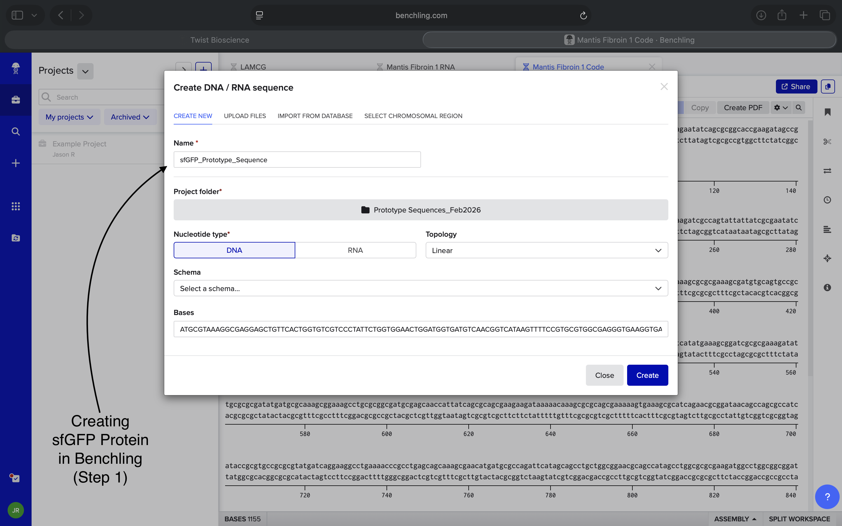 Original Sequence Import