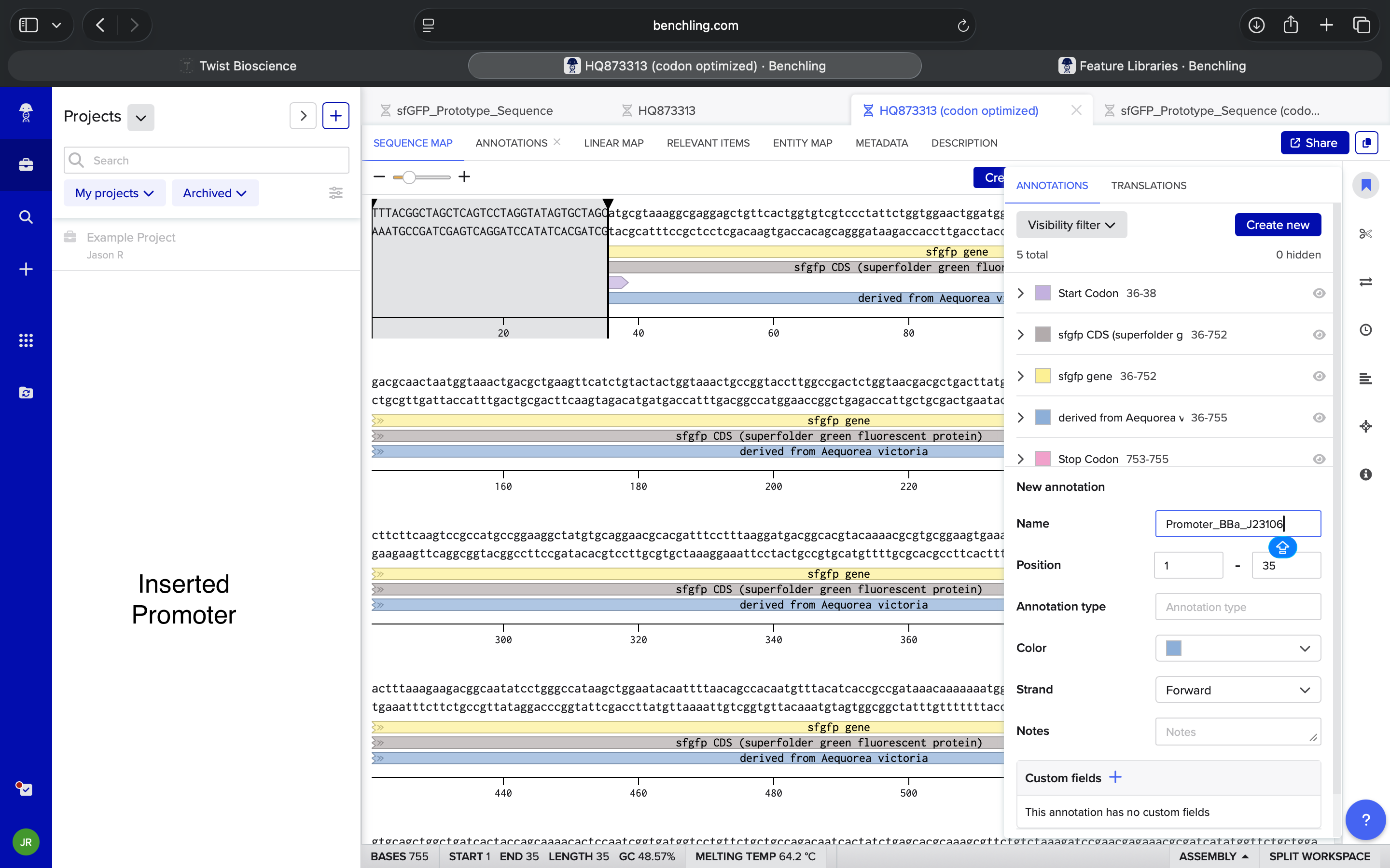 Promoter BBa_J23106 Insertion