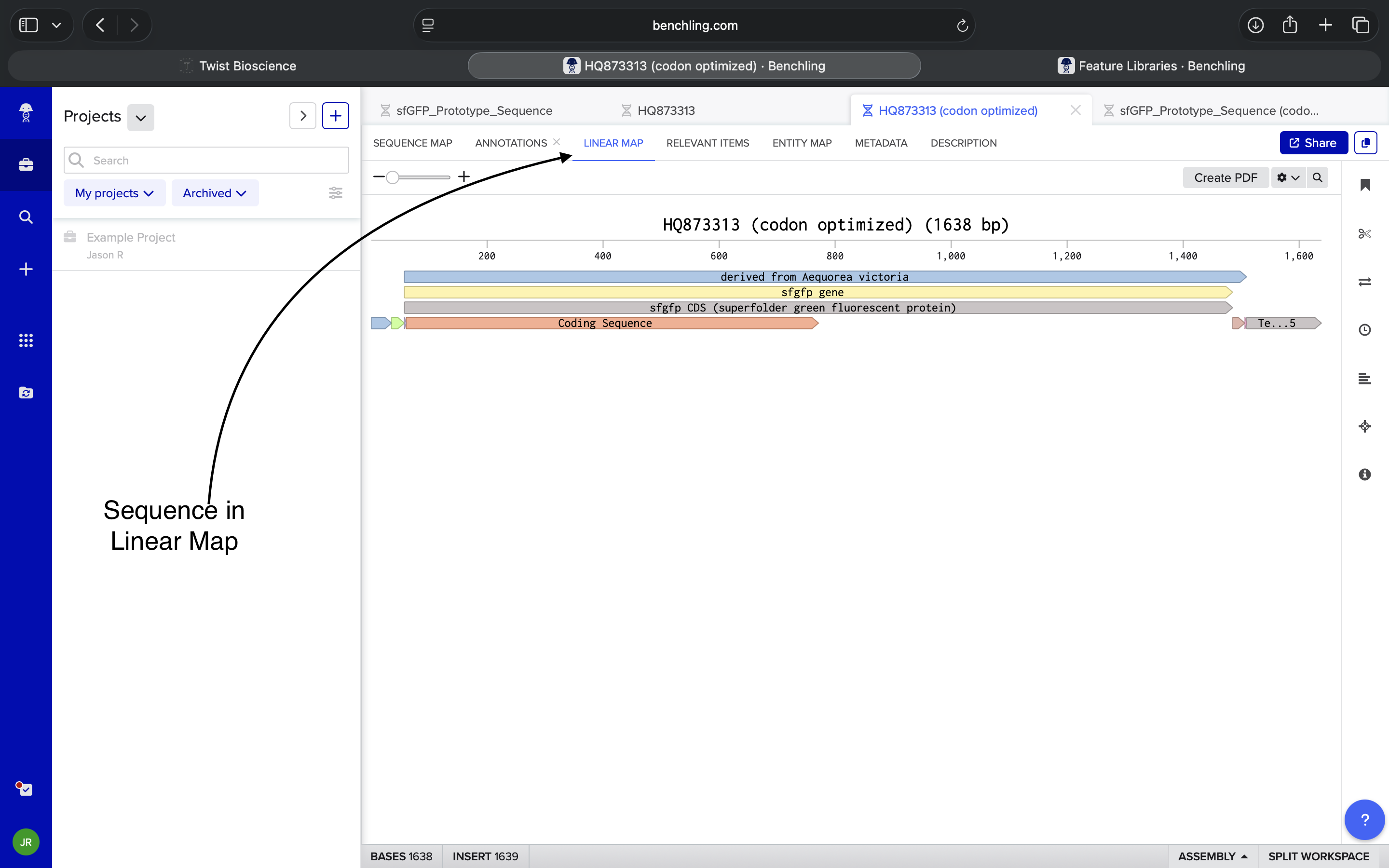 Sequence Linear View