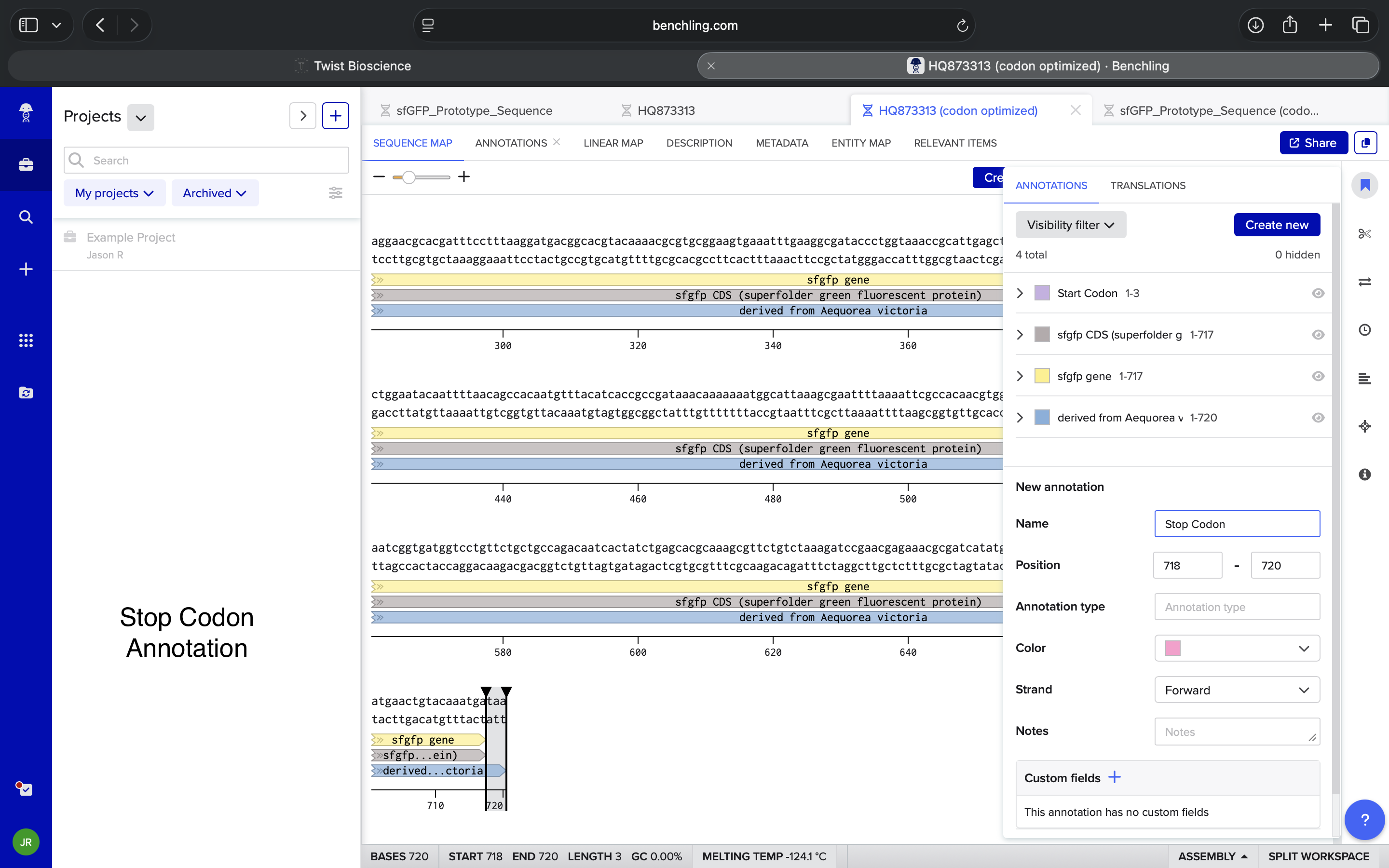 Stop Codon Annotation