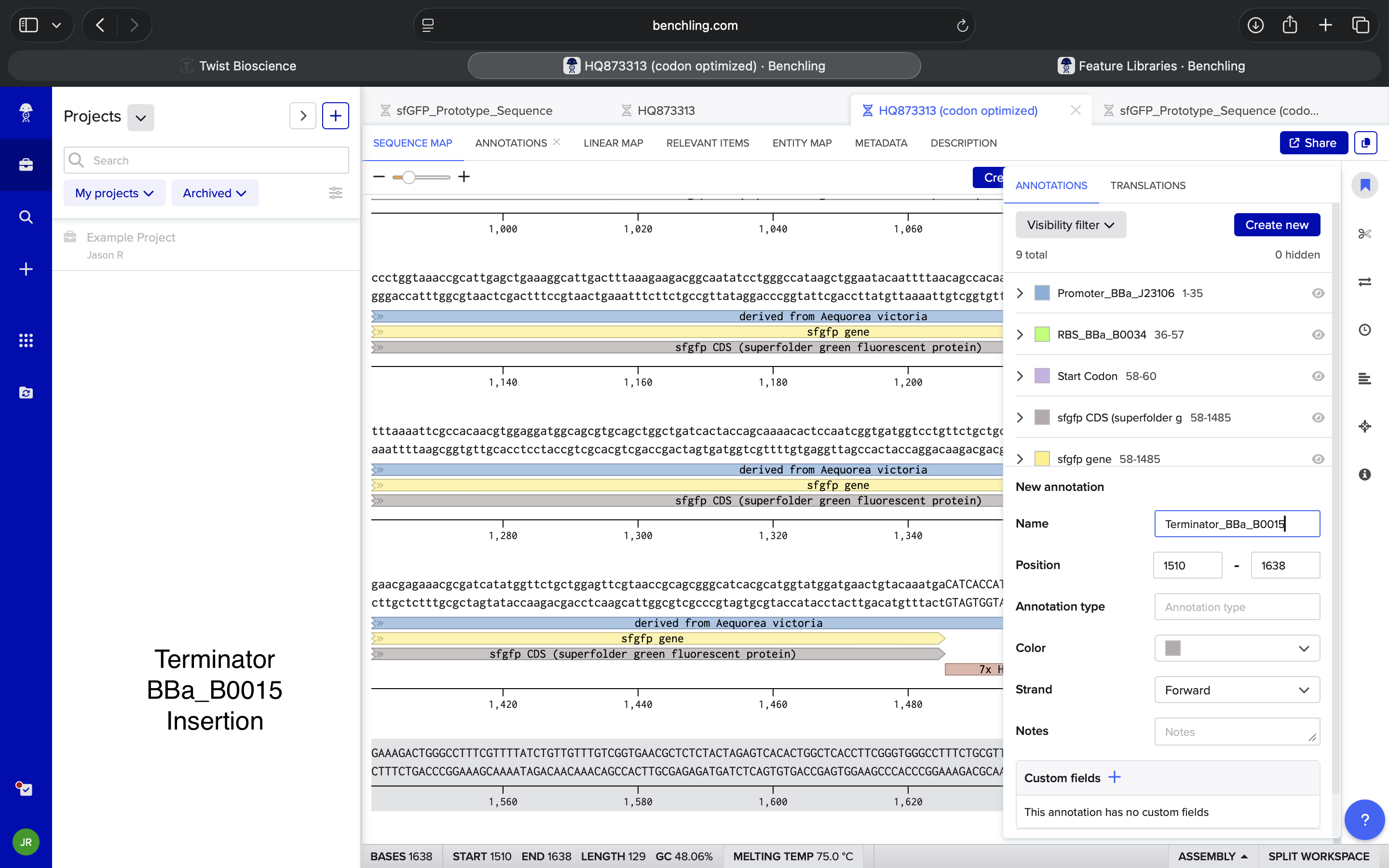 4.2TerminatorBBa_B0015Insertion