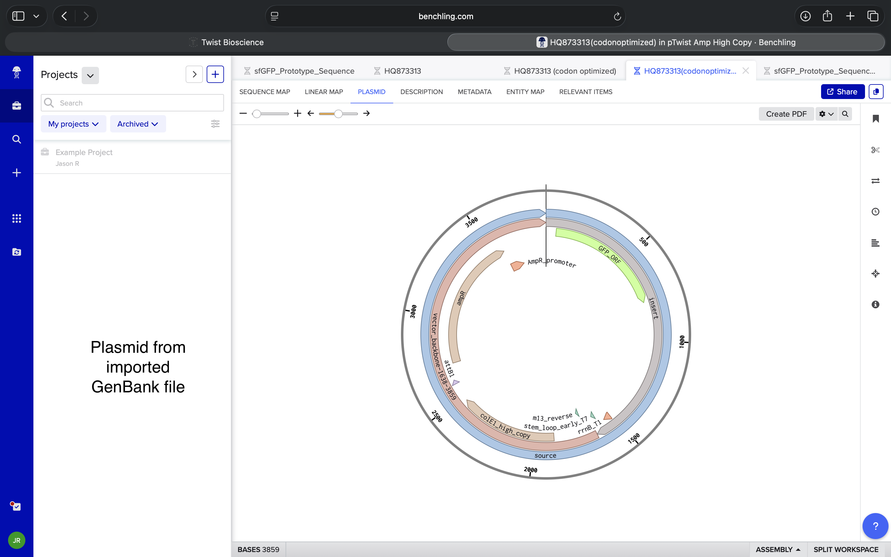 4.6ImportedPlasmid