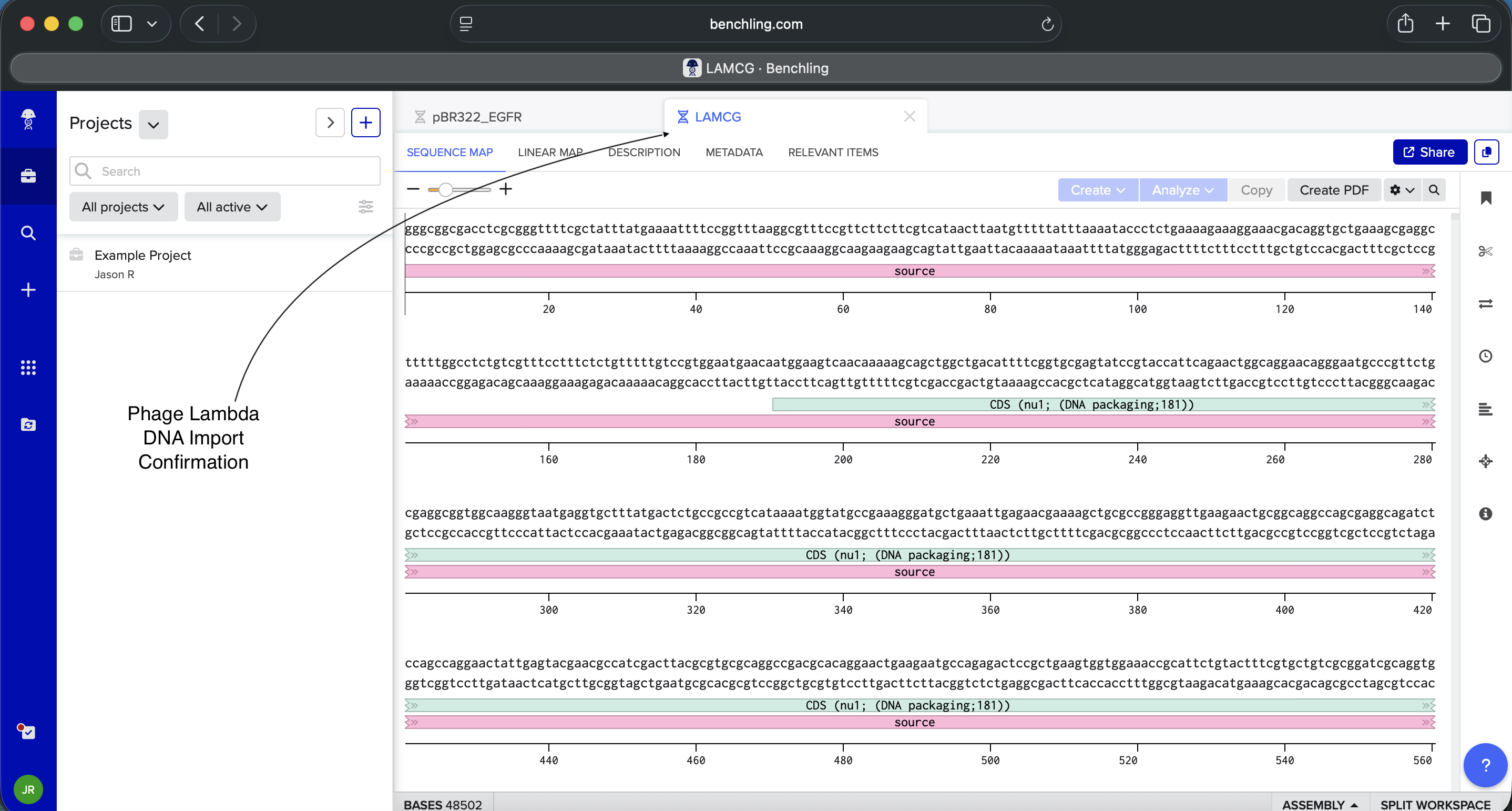 Benchling Phage Lambda DNA Import Confirmation_02.12.26