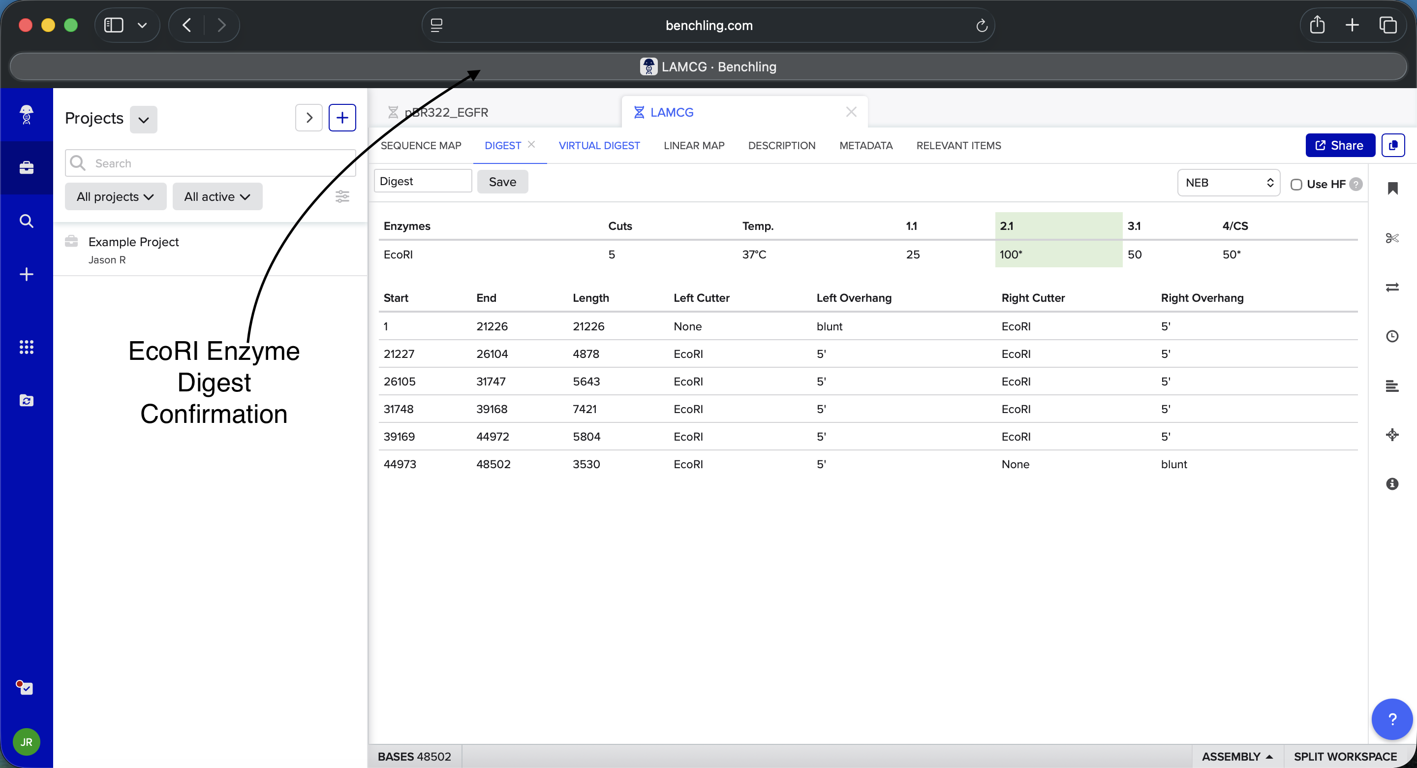 EcoRI Enzyme Digest Confirmation