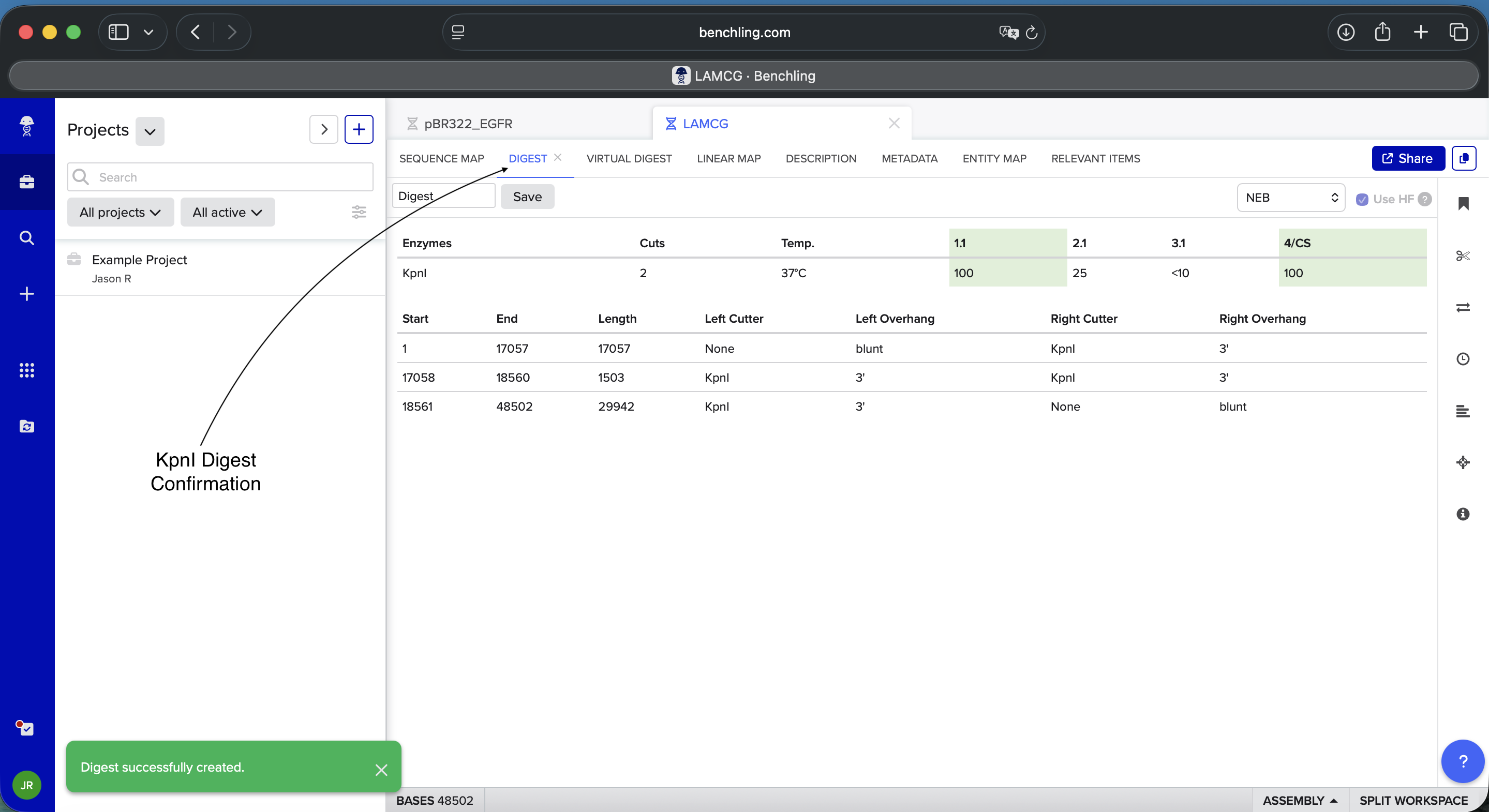 KpnI Enzyme Digest Confirmation