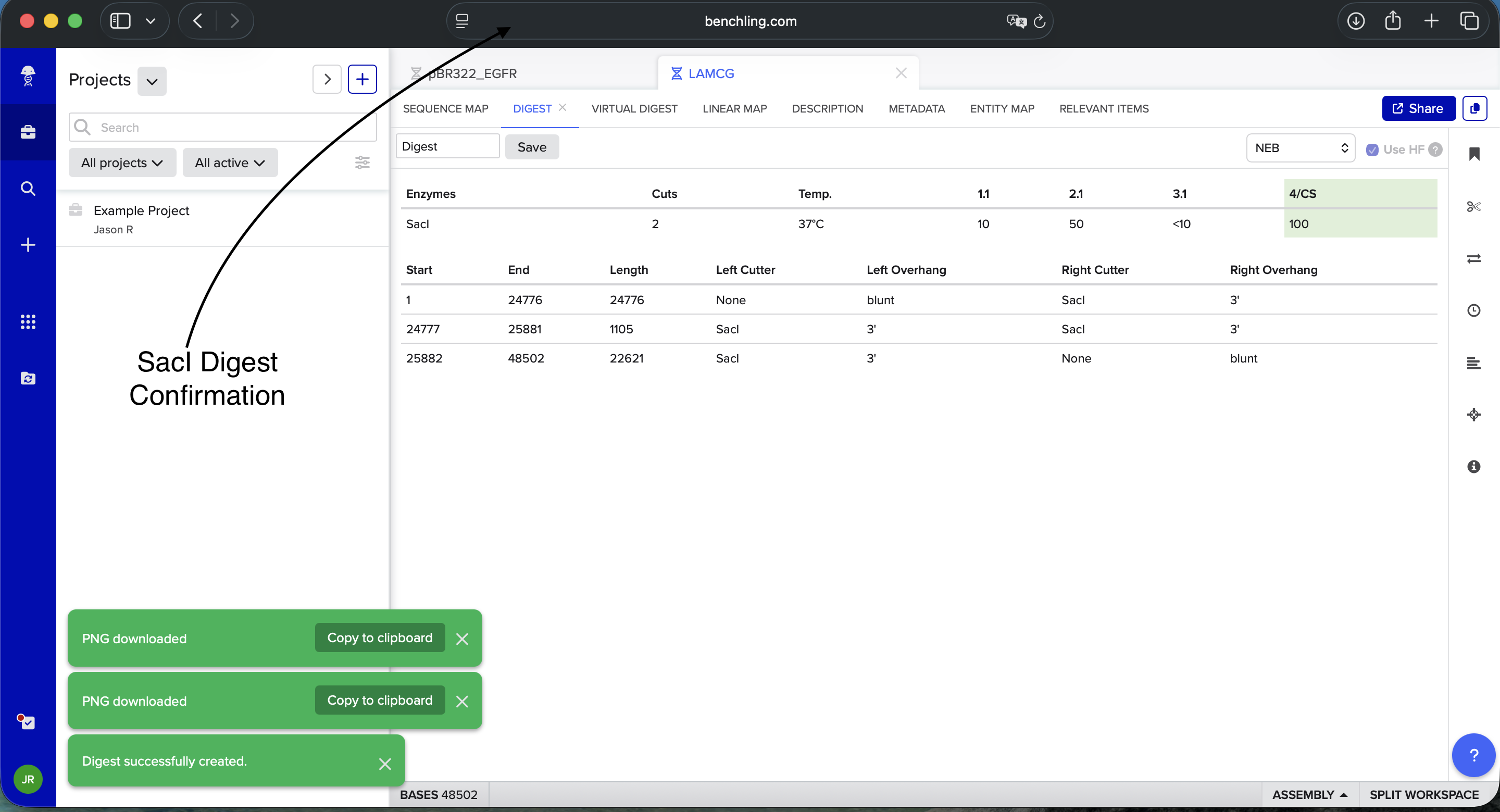 SacI Enzyme Digest Confirmation