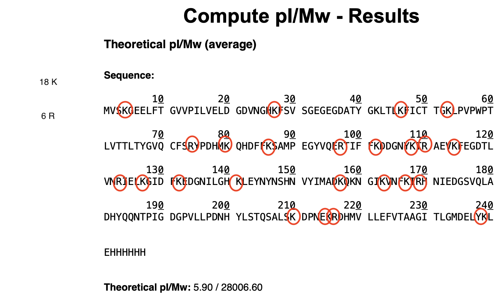 ImageandMeasurementScreenshot1