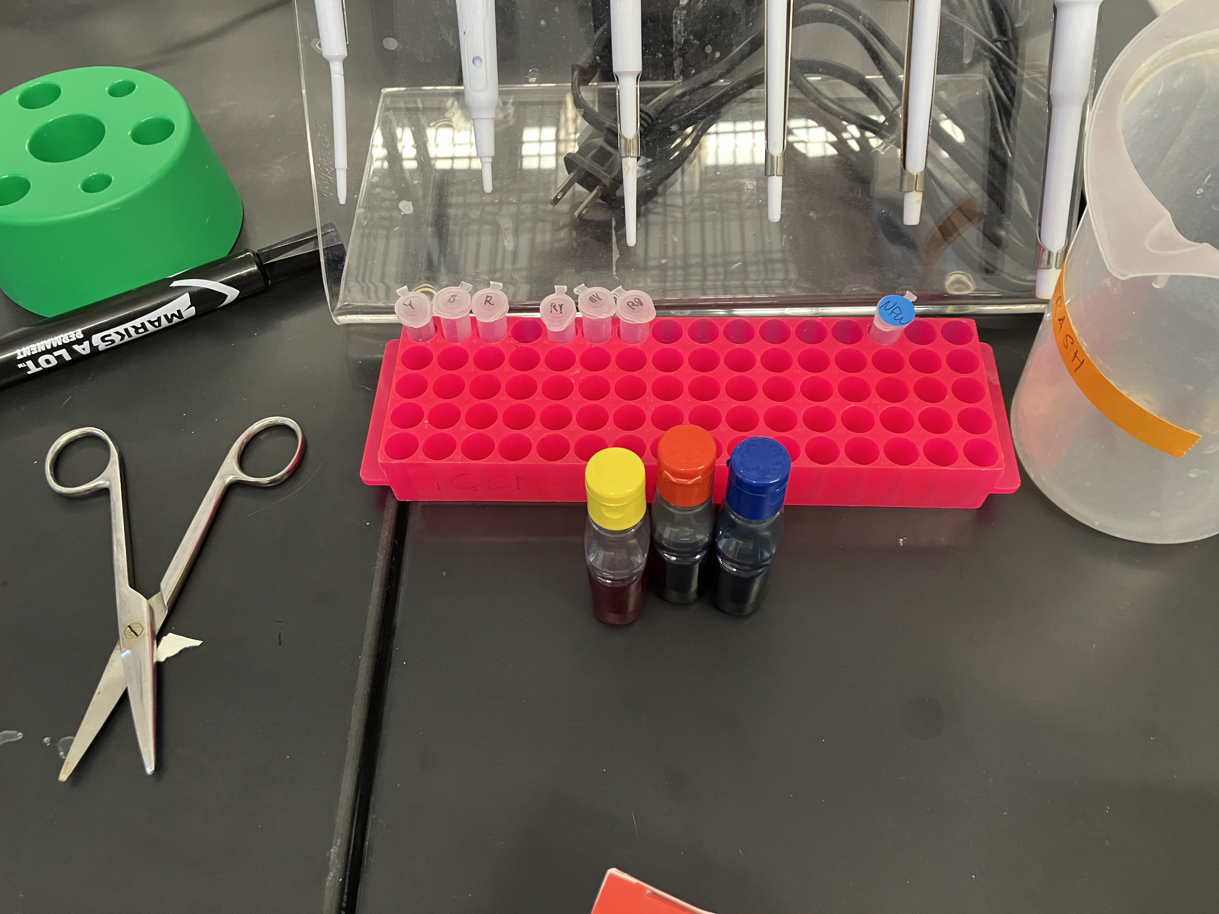 Pipetting_Mon_1