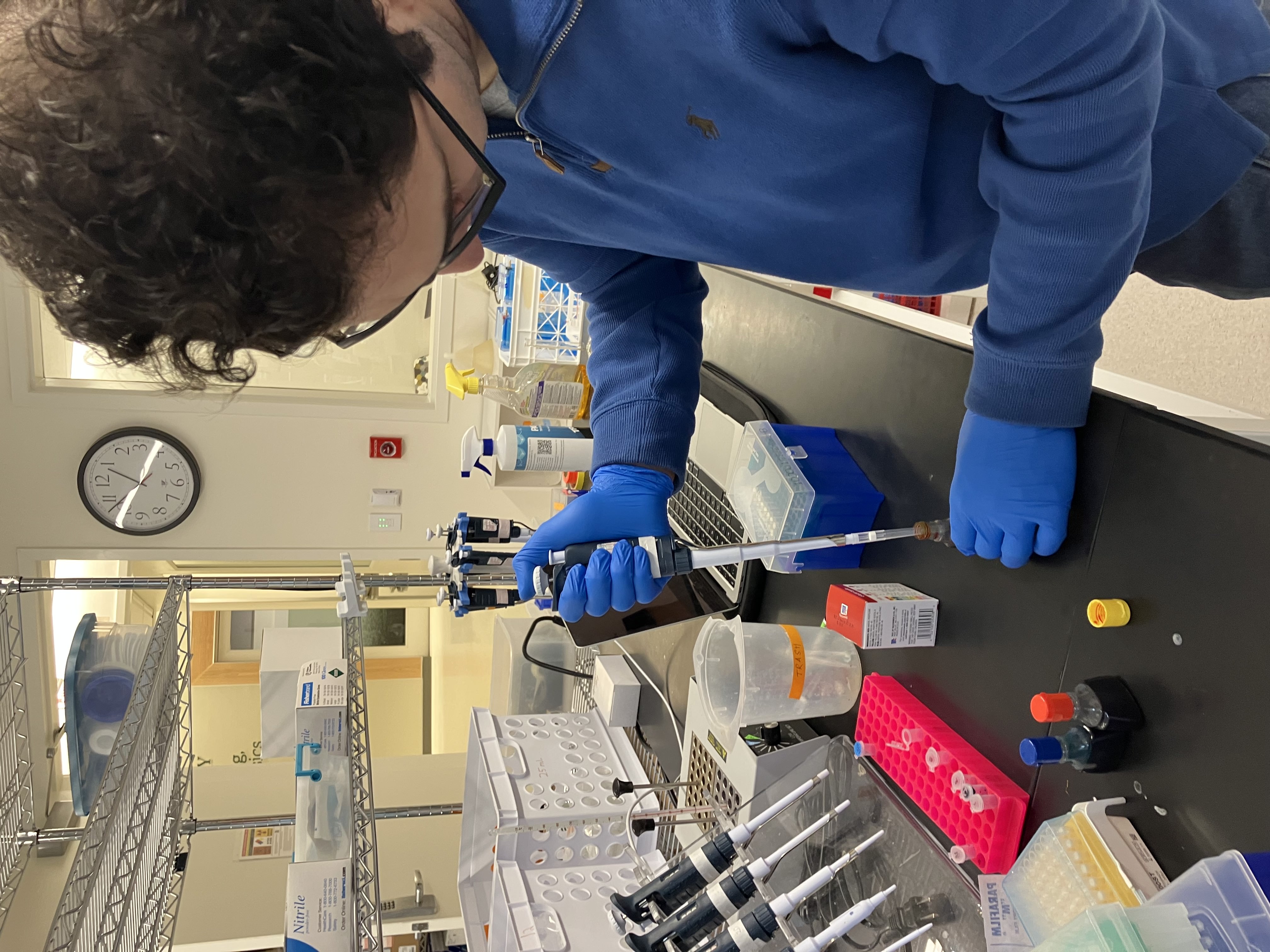 Pipetting_Tuesday_6