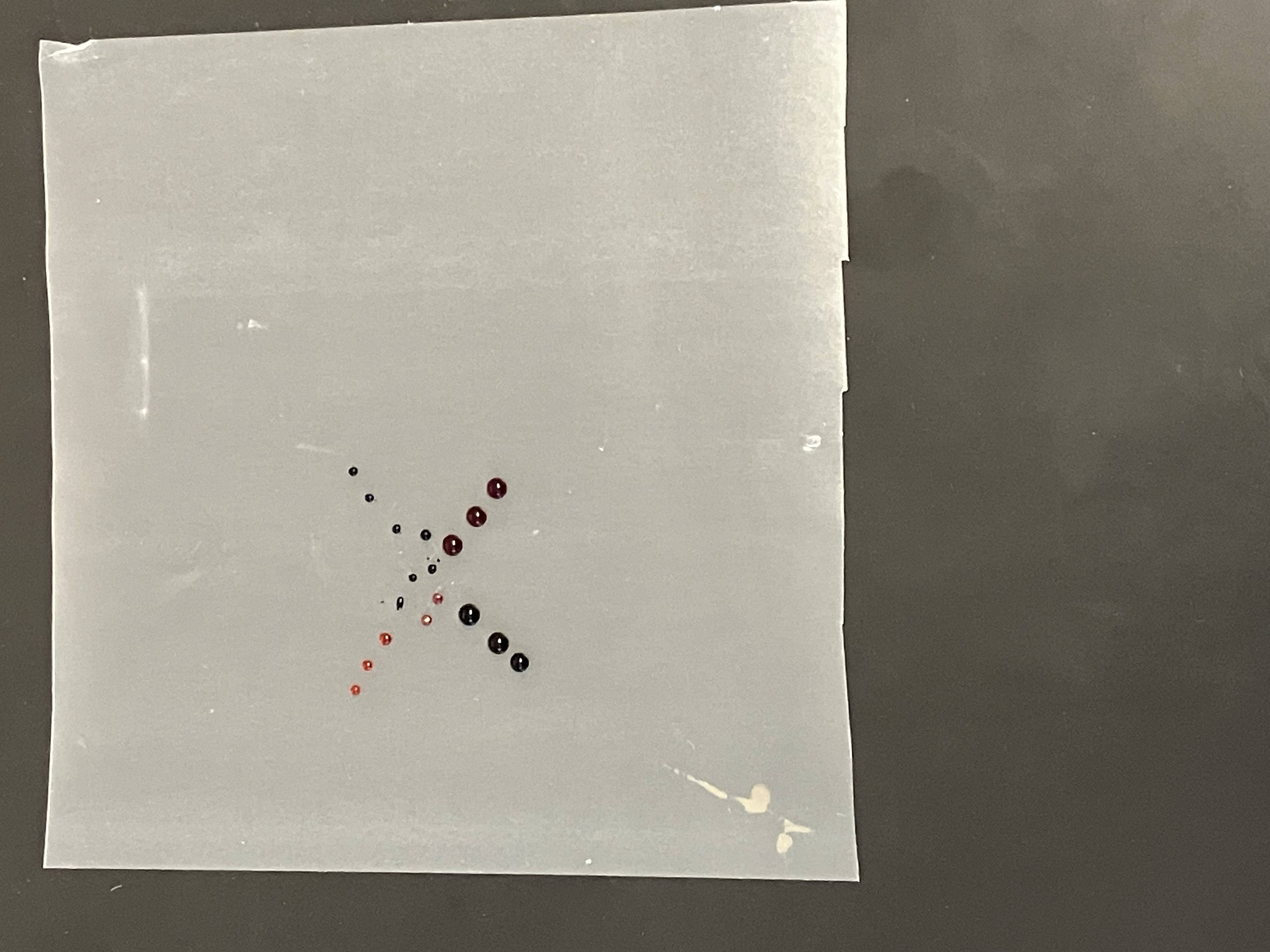 Pipetting_Tuesday_9