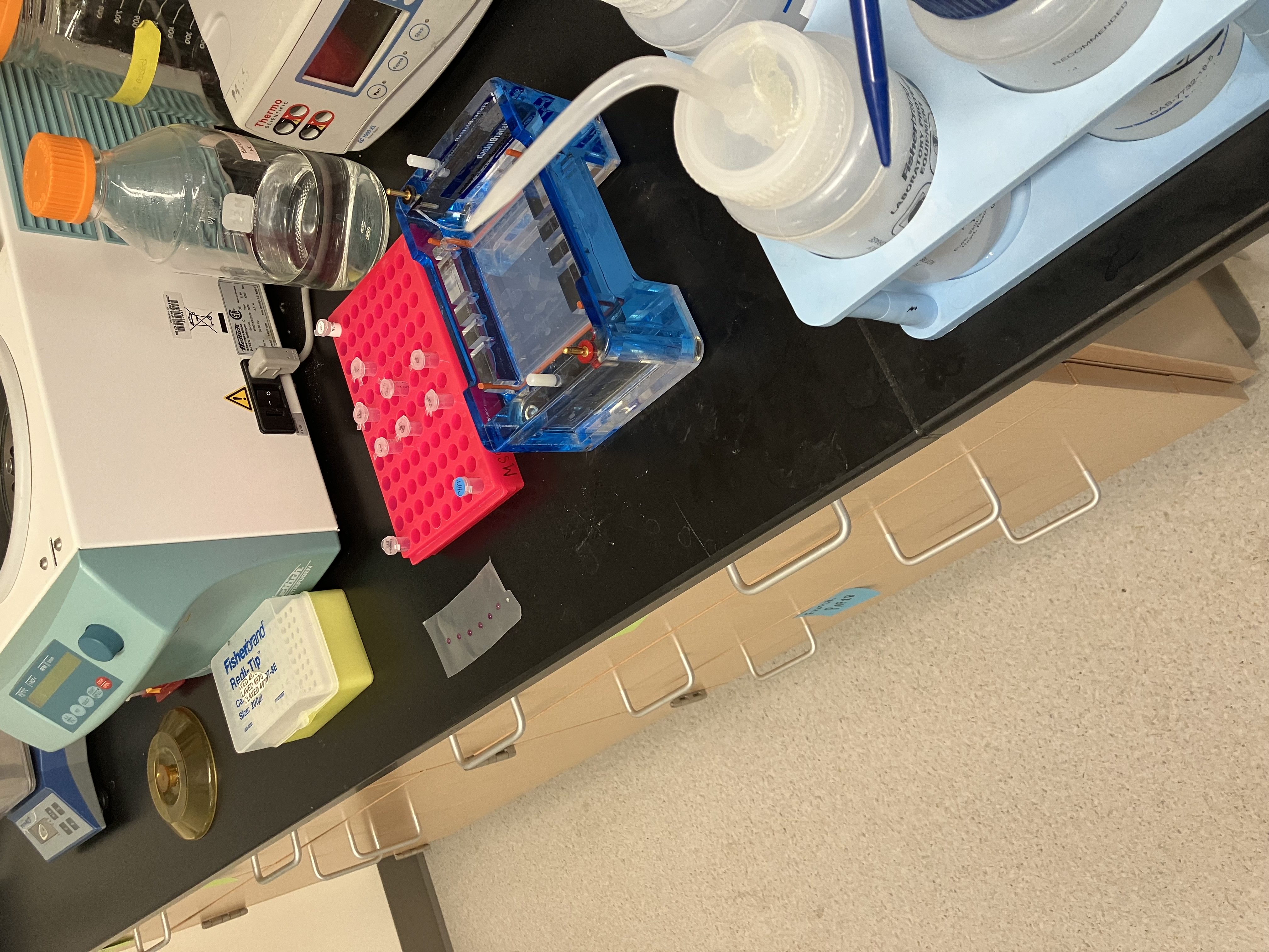 GibsonLab_11