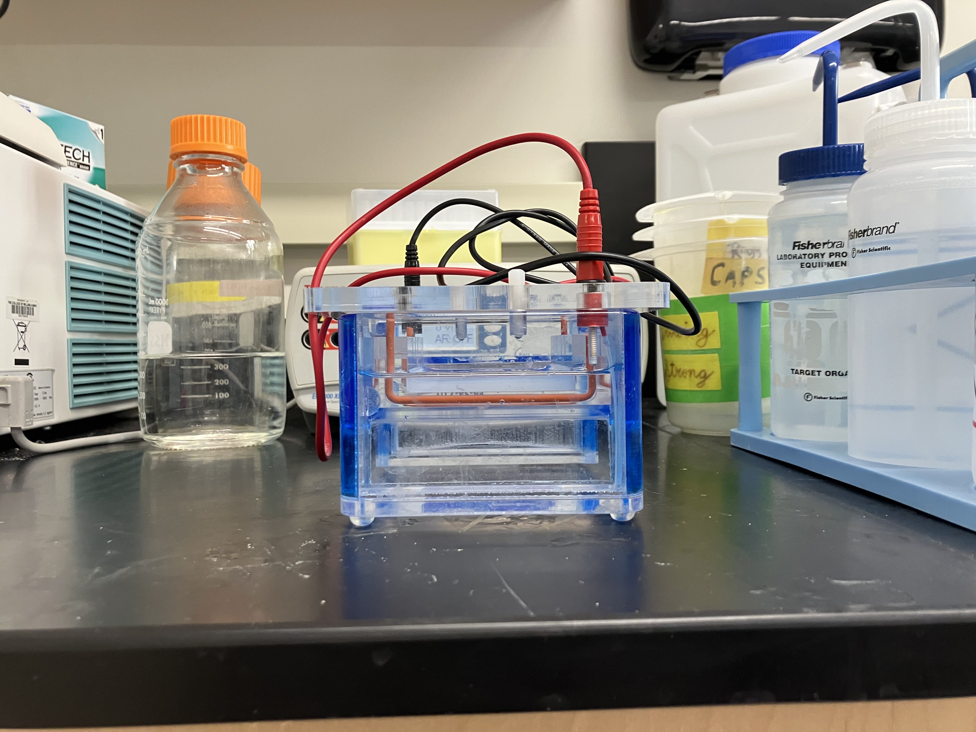 GibsonLab_12