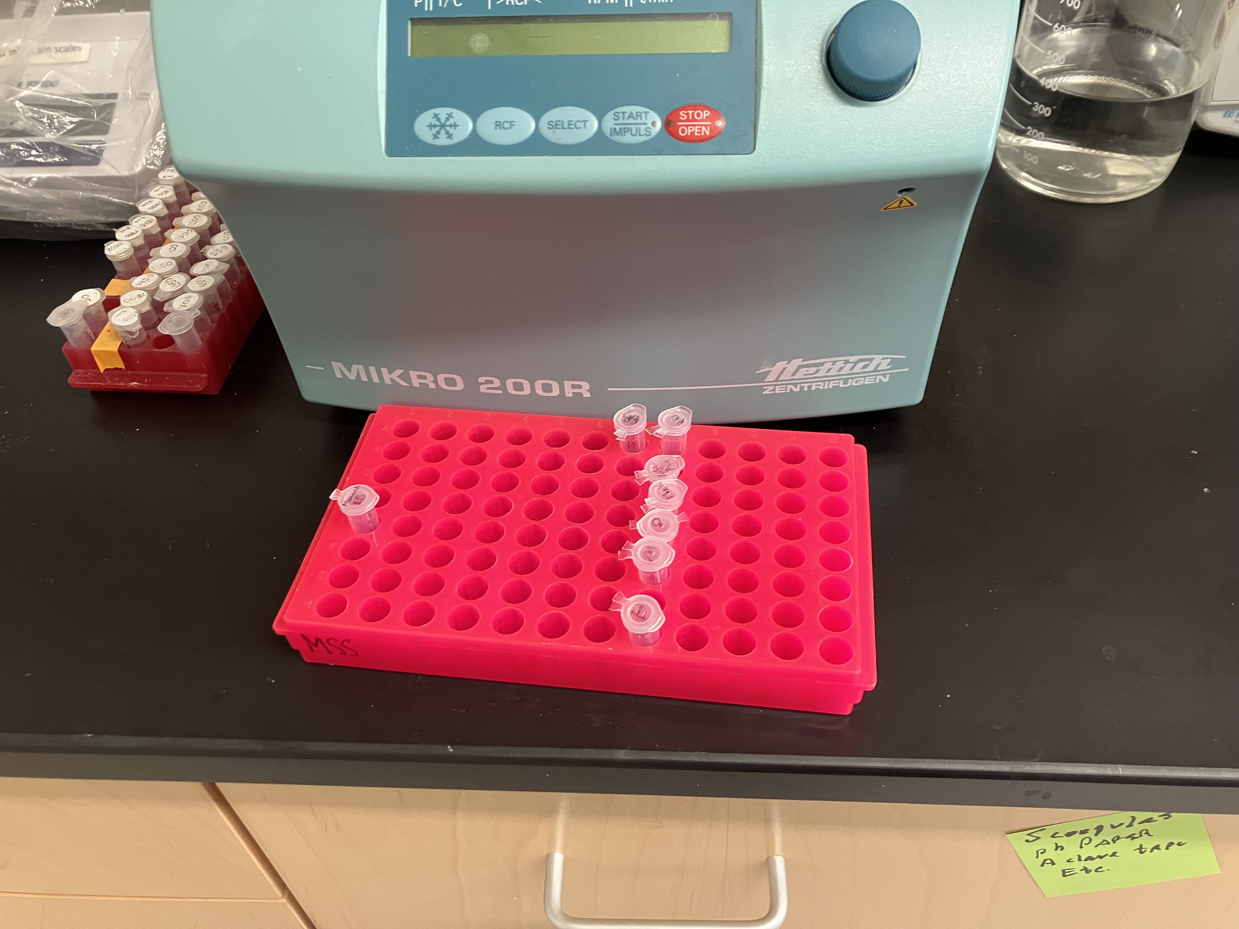 GibsonLab_13