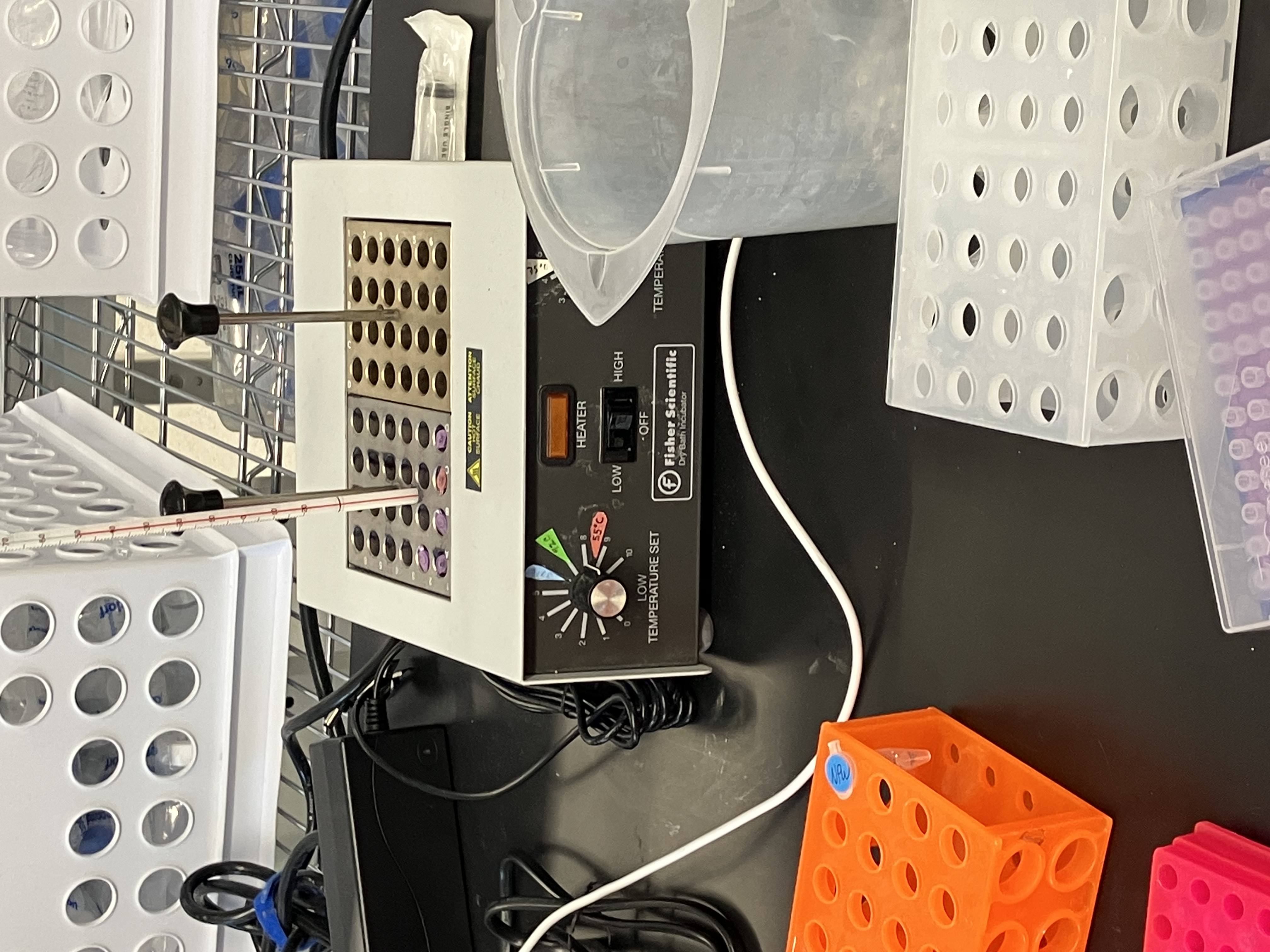 GibsonLab_18