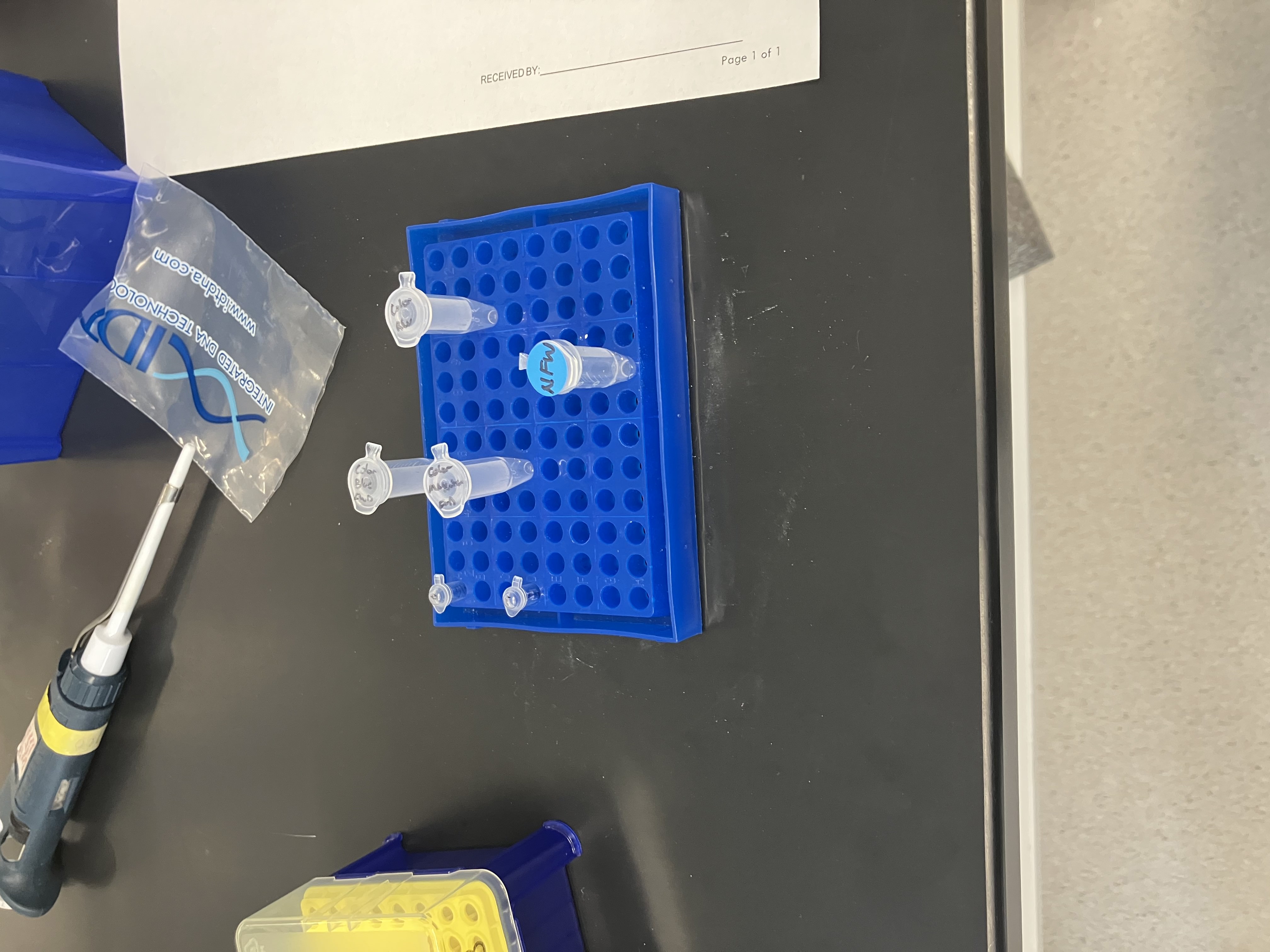 GibsonLab_2