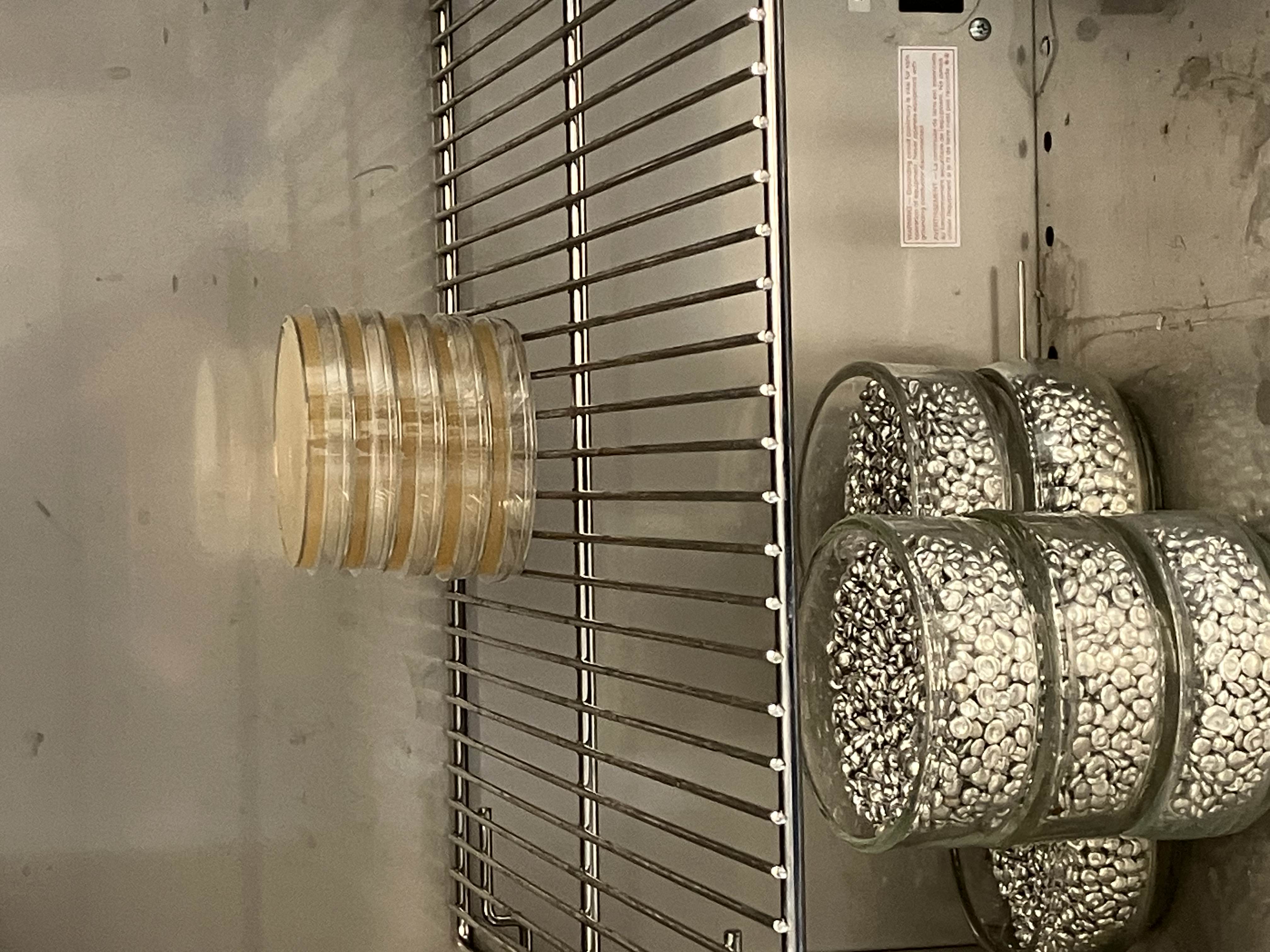 GibsonLab_20