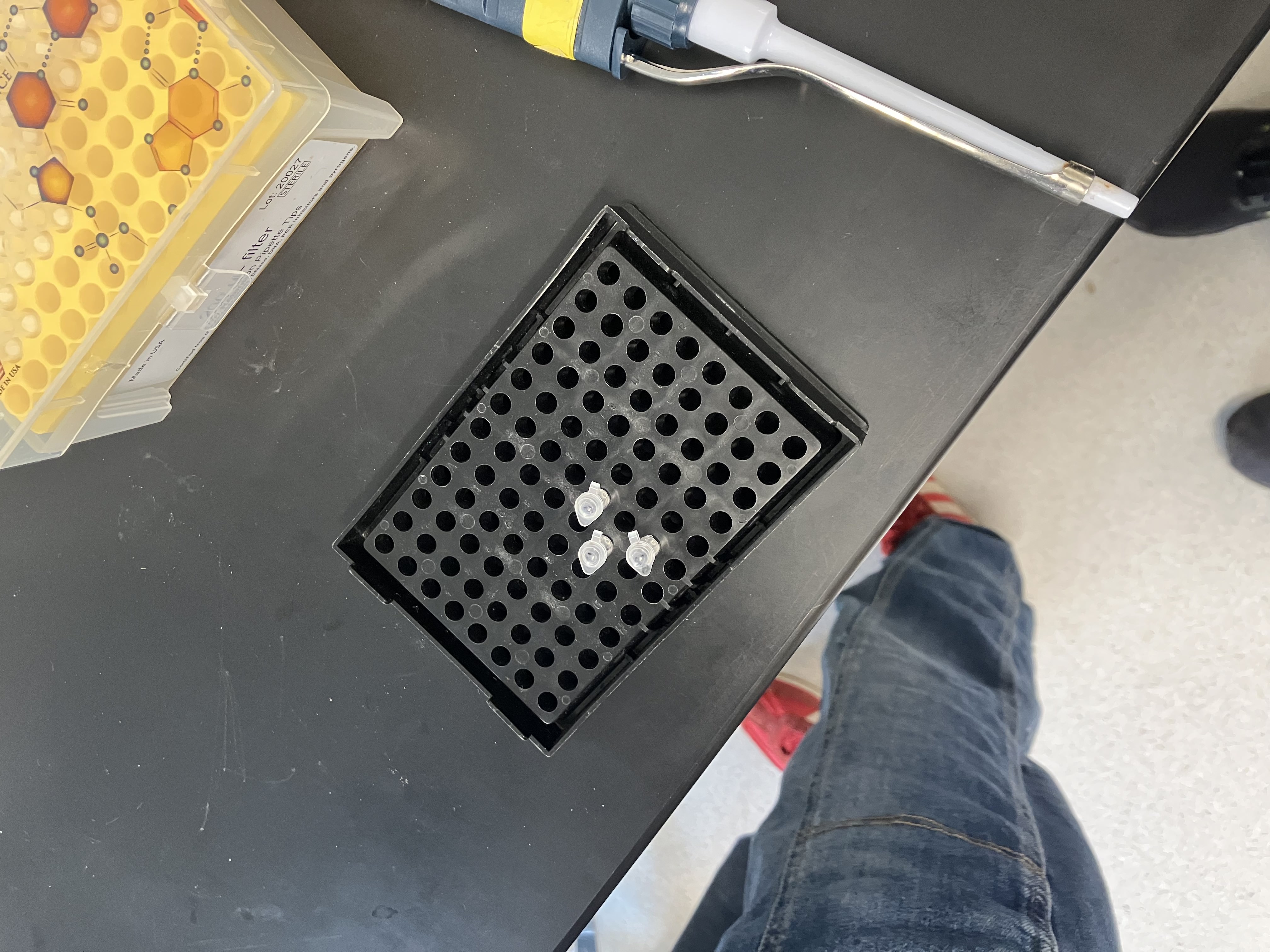 GibsonLab_8
