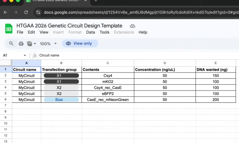 Circuit_Design_Template