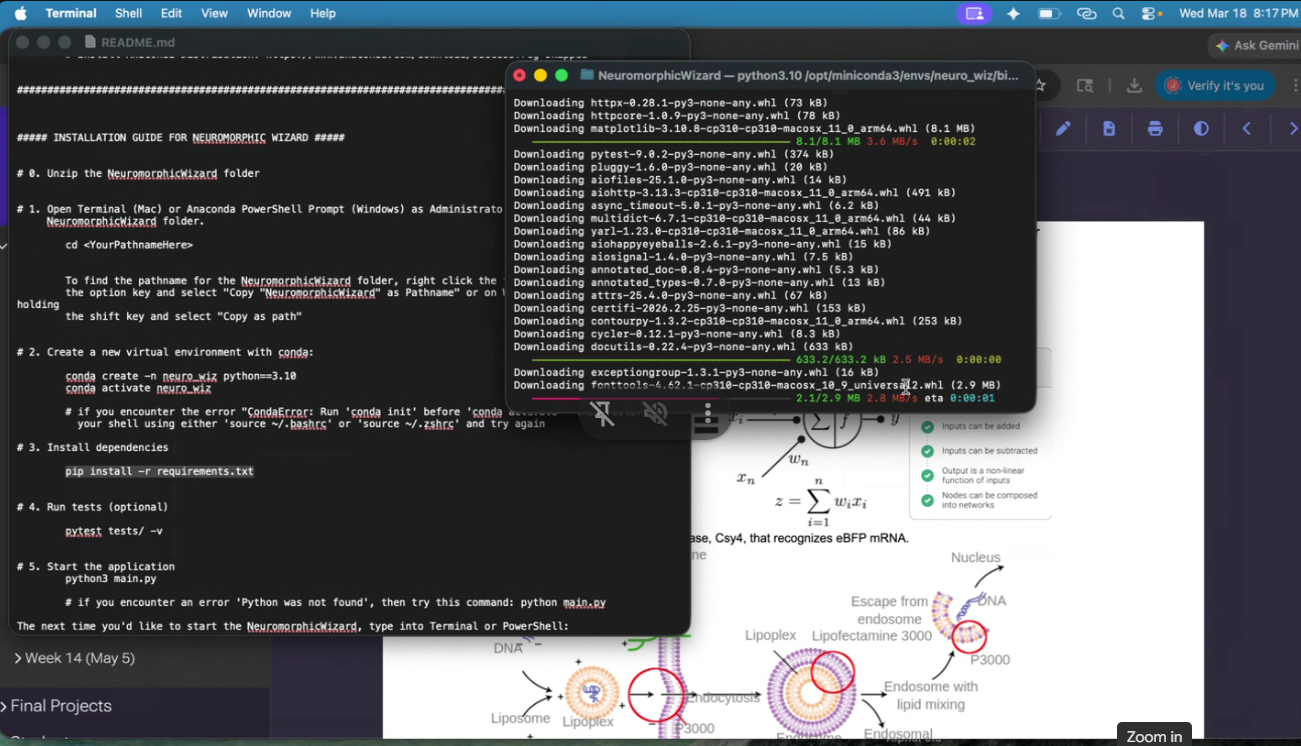 Neuromorphic_Install