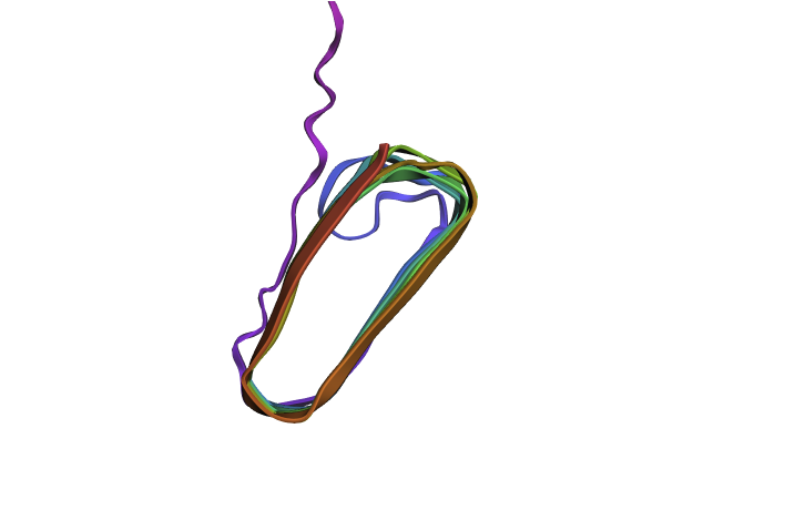 Curlin Refold After Mutation