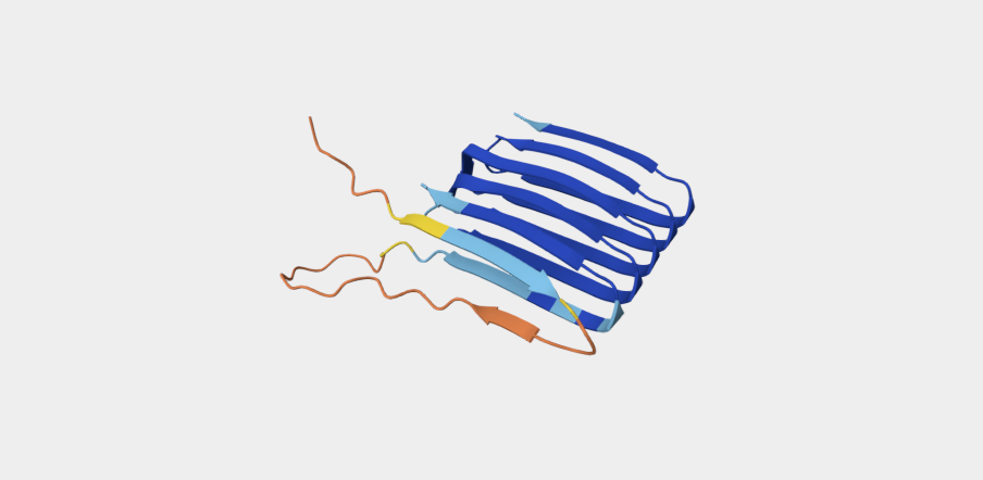 AlphholdDB of Curlin Sequnece