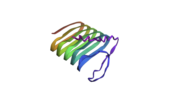 Refold of Curlin Sequence
