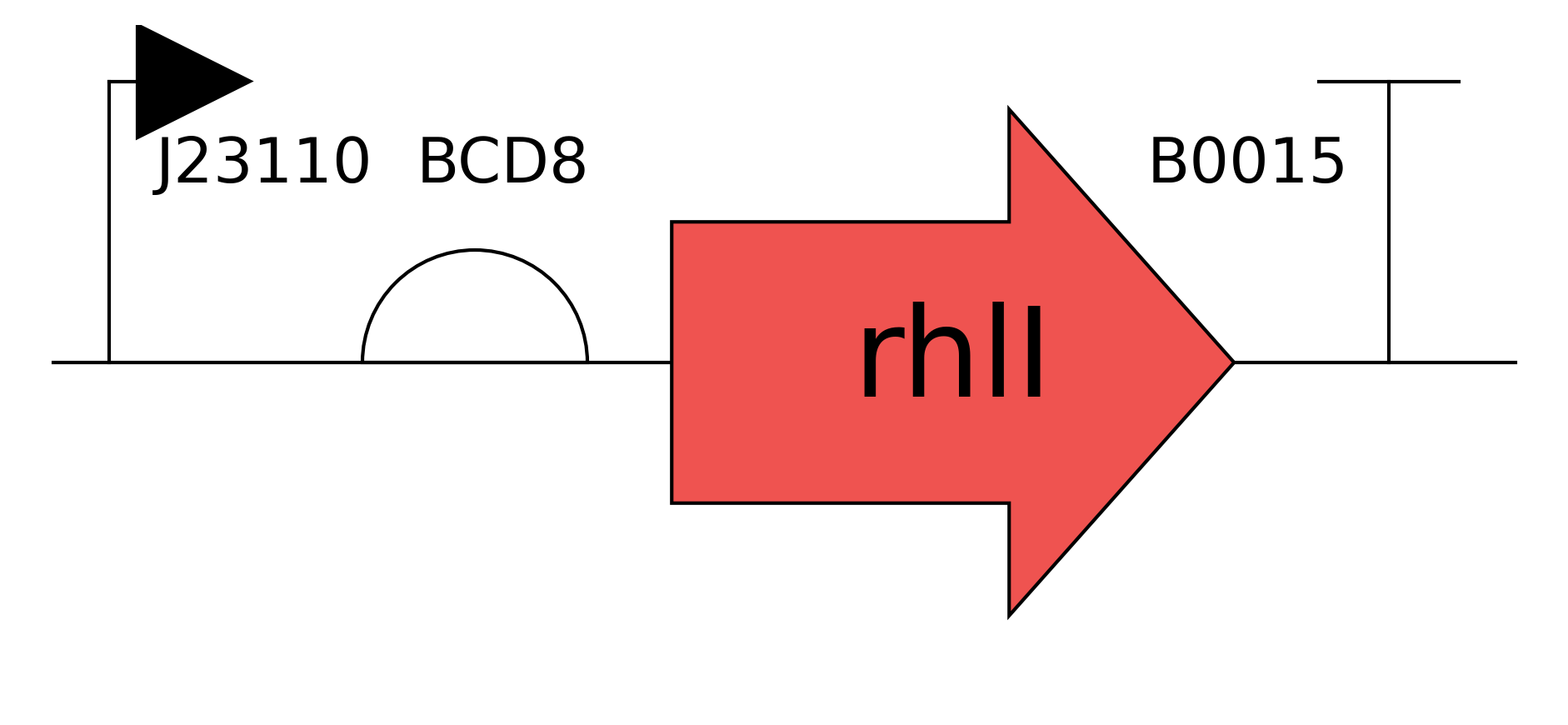 rhiI