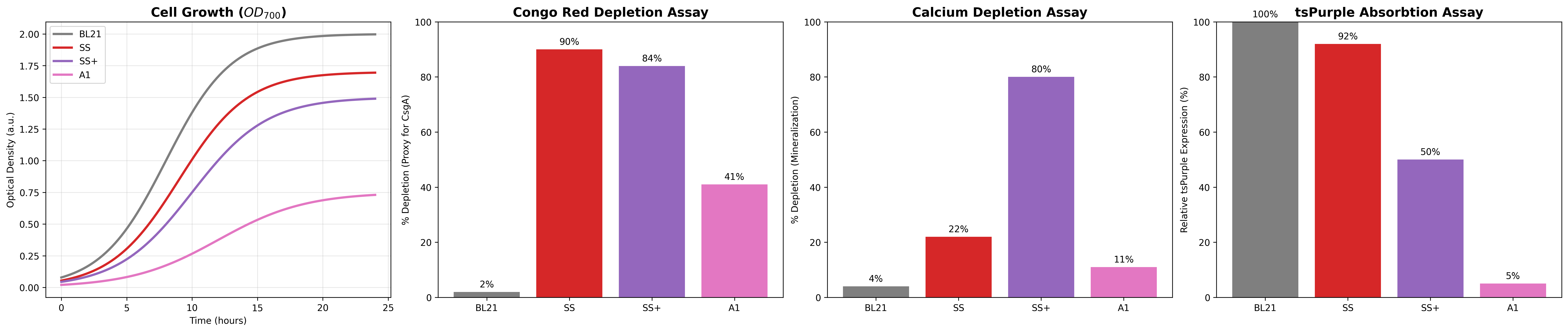 Validation Results