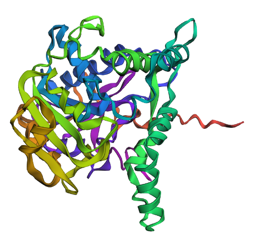 predicted structure