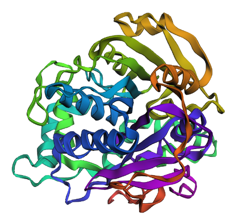 mutated structure