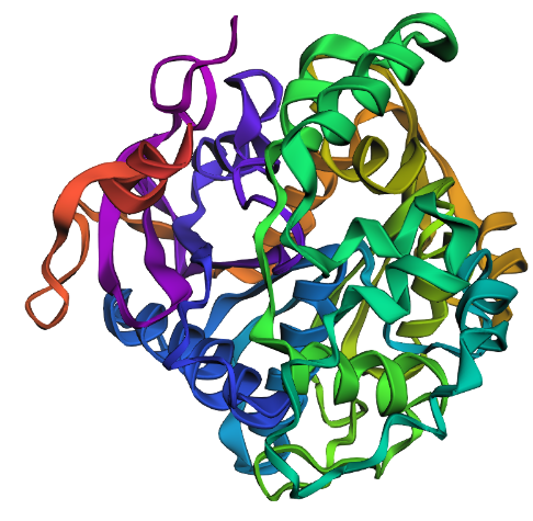 predicted structure from new sequence