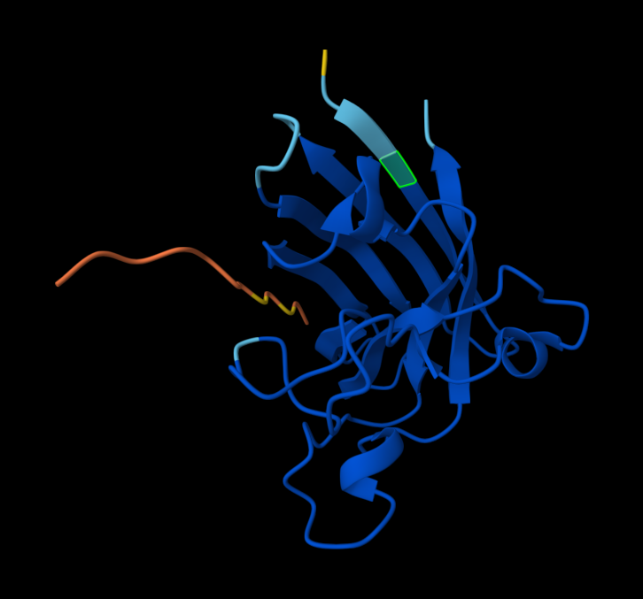AlphaFold model with peptide1