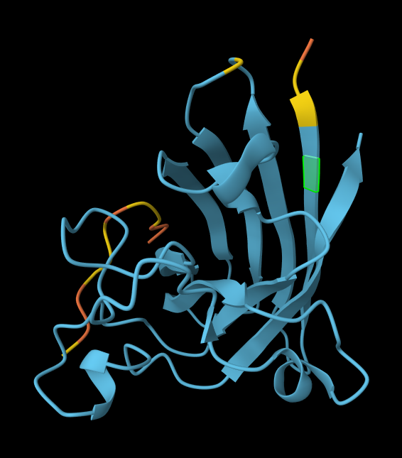 AlphaFold model with peptide2