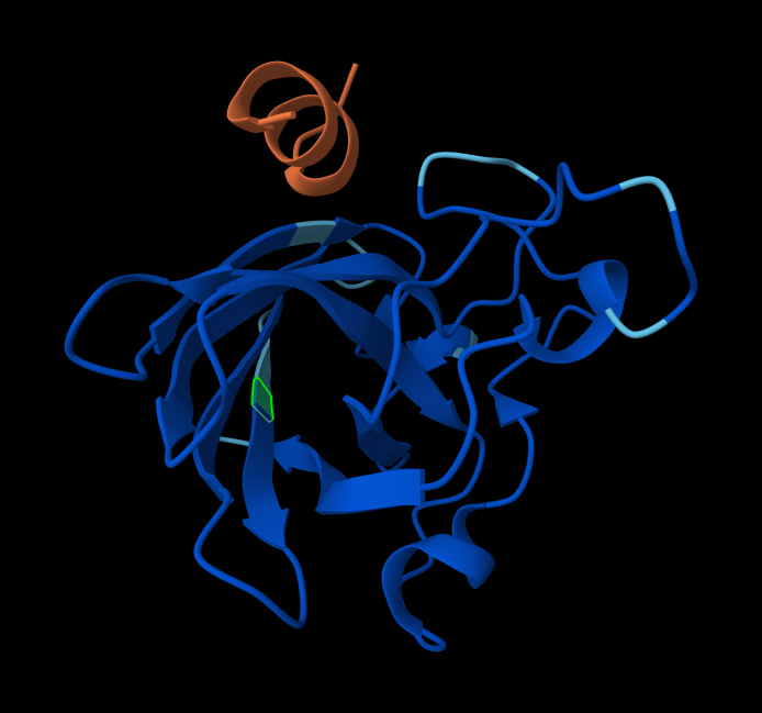 AlphaFold model with peptide3