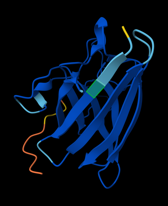 AlphaFold model with known peptide