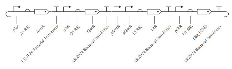 AND gate circuit