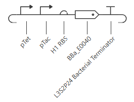 construct 1 circuit