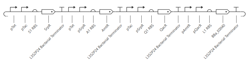 second construt 3 circuit