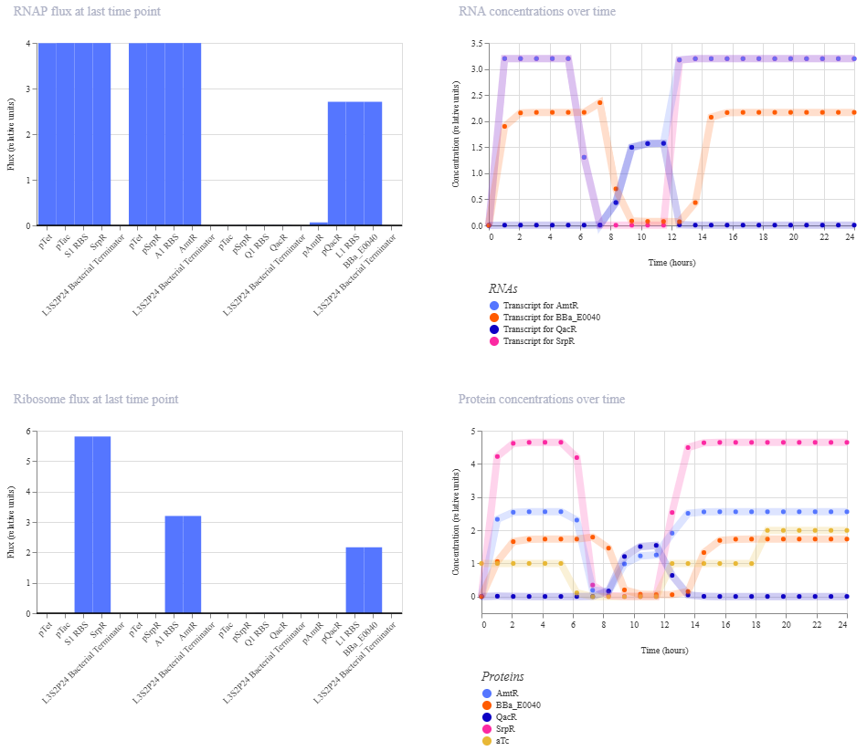 simulation output