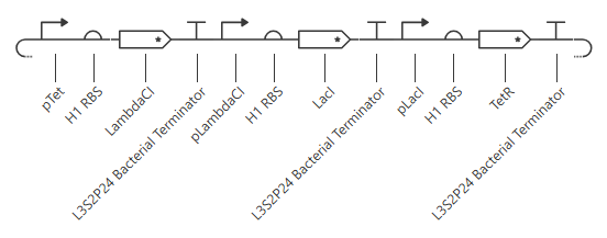 first repressilator circuit